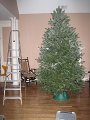Januar2009 089